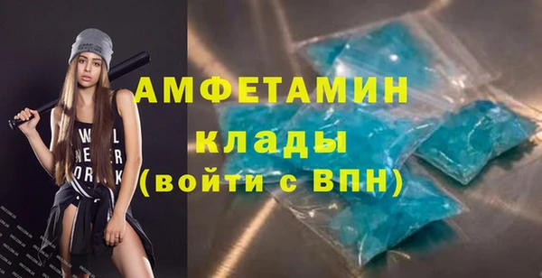 твердый Новозыбков