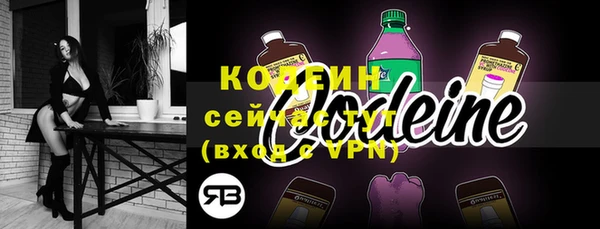 твердый Новозыбков