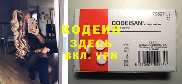 твердый Новозыбков