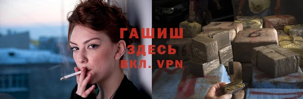 твердый Новозыбков