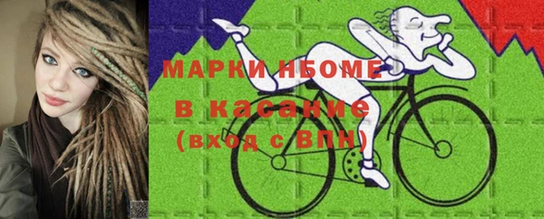 твердый Новозыбков