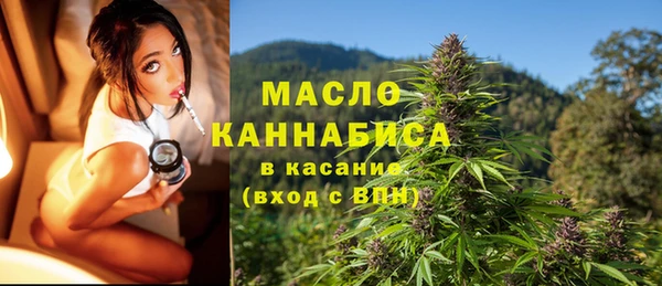 твердый Новозыбков