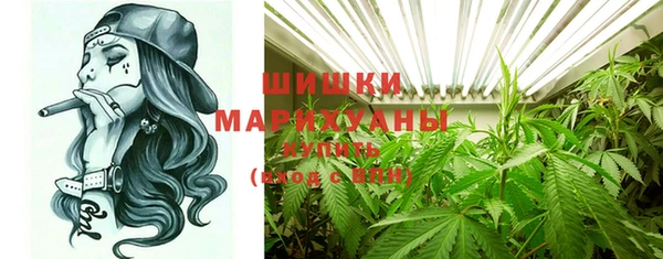 твердый Новозыбков