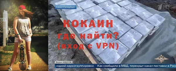 твердый Новозыбков