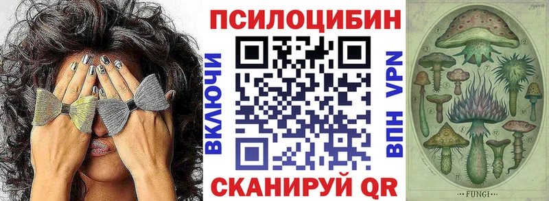 где найти наркотики  Югорск  MEGA маркетплейс  Галлюциногенные грибы MAGIC MUSHROOMS 