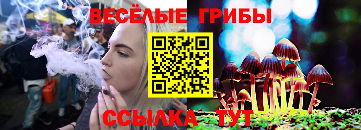 магазин  наркотиков  Вход с VPN  Югорск  Галлюциногенные грибы MAGIC MUSHROOMS 
